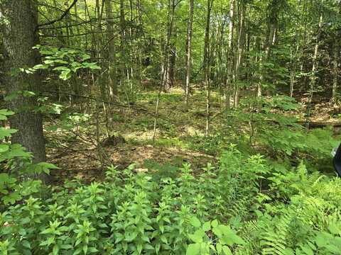 217 Winsor Drive, Hartford, VT 05001