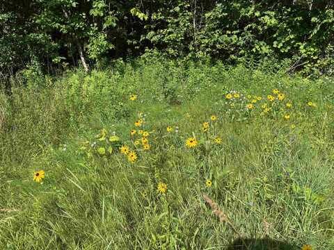 TBD Holman Road, Salisbury, VT 05769