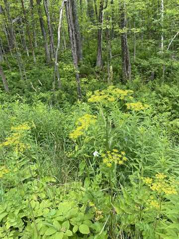 0 Route 30, Jamaica, VT 05343