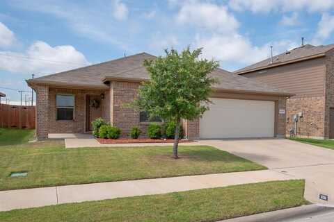 6317 Pontoon Street, Fort Worth, TX 76179