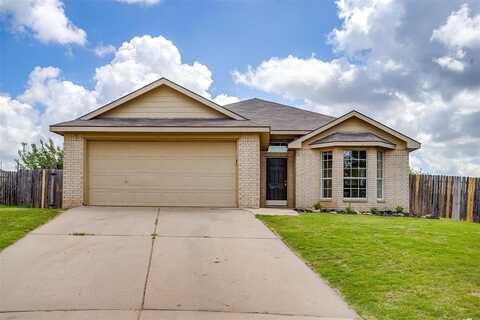 113 Kings Way Drive, Rhome, TX 76078