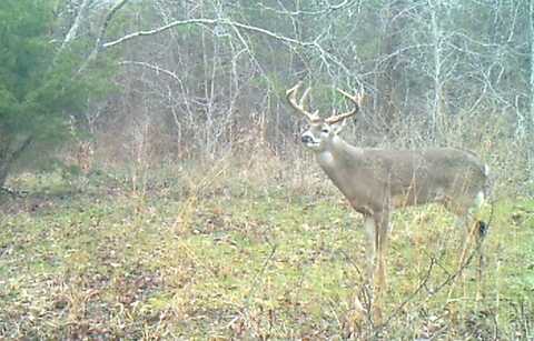 3324-a County Road 3206, Dawson, TX 76639