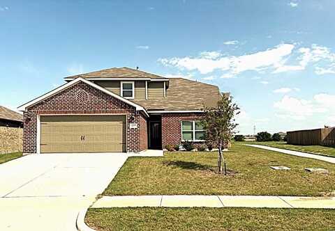 137 Sammy Fowler Avenue, Venus, TX 76084