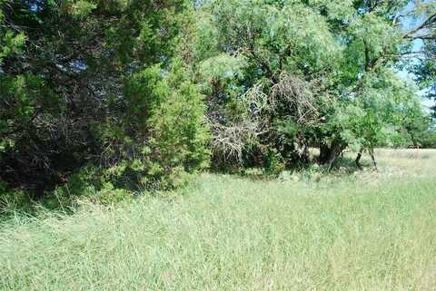 37014 Woodacre Court, Whitney, TX 76692