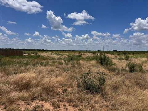 129 Skyview Drive, Early, TX 76802