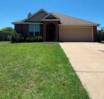 163 Milky Way, Bruceville, TX 76630