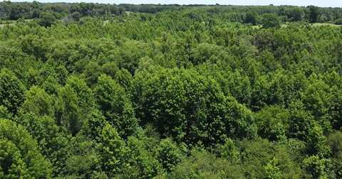 401 County Road 2920, Golden, TX 75444