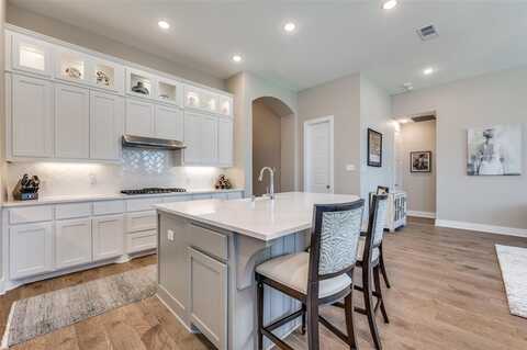 1704 White Snowberry Lane, Celina, TX 75078