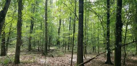 974 Merrifield Drive, Valley Grande, AL 36701