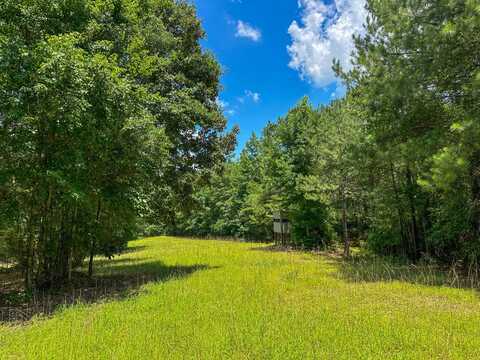 0 Holsombech Swamp Road, Sprott, AL 36756