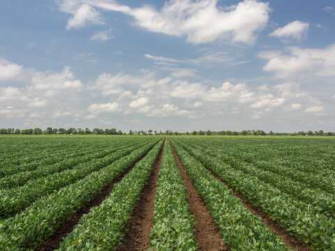 00 Bill Young Rd, Eudora, AR 71640