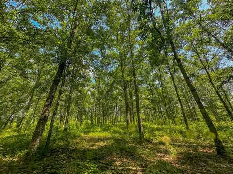 0 Peach Orchard Road, Brent, AL 35034