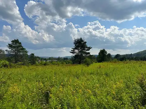 VL White Creek Road, Friendship, NY 14739