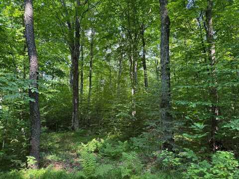0 Summit Woods Lane, Gleason, WI 54435