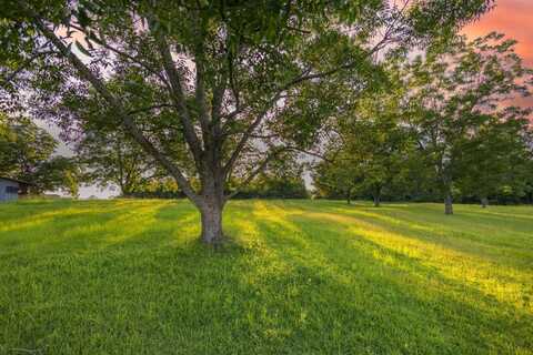 32+/- acres Hesters store road, Red Level, AL 36474