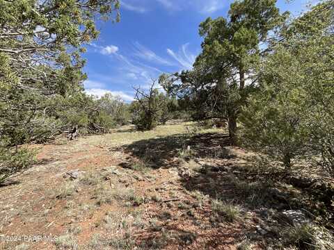 Lot 162 Forest Acres, Seligman, AZ 86337