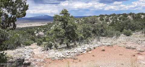 701 W Everwood Trail, Seligman, AZ 86337