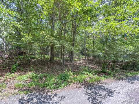 Lot 114 Birch Drive, Jim Thorpe, PA 18229