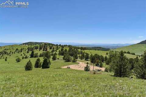 10860 Happy New Year, Cripple Creek, CO 80813