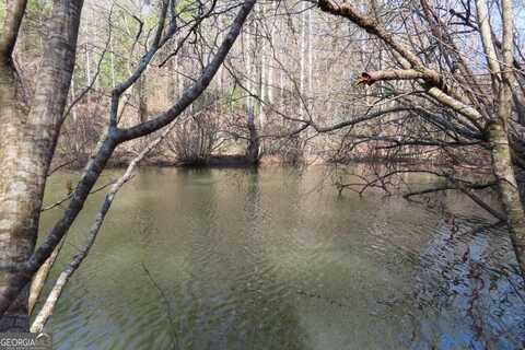 0 Blazing Star Road, Ellijay, GA 30540