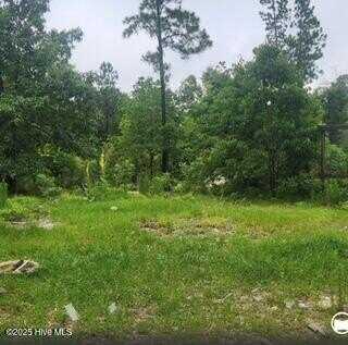 342 Ponderosa Drive, Hamlet, NC 28345