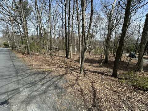 Lot 41 Fox Ct, Dingmans Ferry, PA 18328