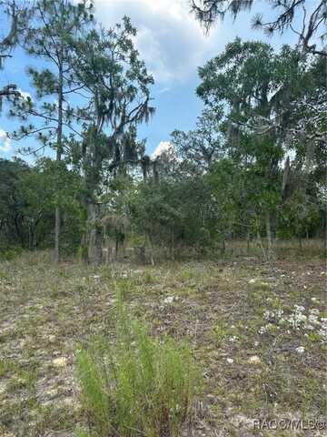 869 N Kensington Avenue, Lecanto, FL 34461