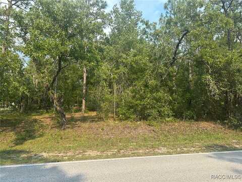 7 S Otis Avenue, Lecanto, FL 34461