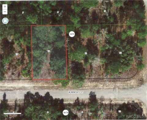 2099 W Bentley Street, Citrus Springs, FL 34434
