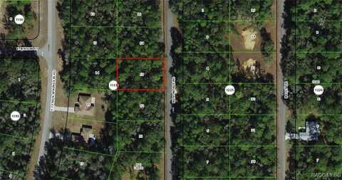 9088 N Irondale Road, Dunnellon, FL 34434