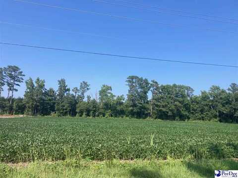 TBD W Main Street, Dillon, SC 29536