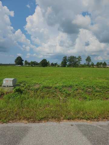Lot 5 Harmony St, Wewahitchka, FL 32465