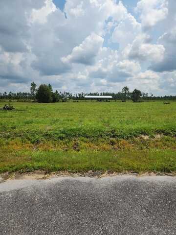 Lot 11 Harmony St, Wewahitchka, FL 32465