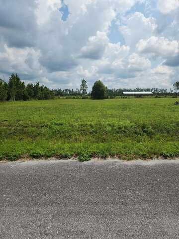 Lot 10 Harmony St, Wewahitchka, FL 32465
