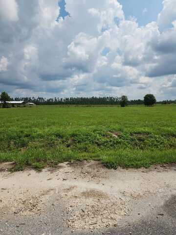 Lot 14 Harmony St, Wewahitchka, FL 32465