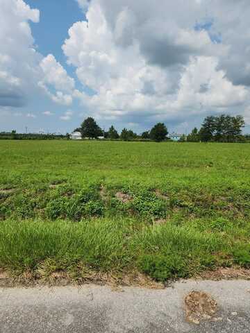 Lot 4 Harmony St, Wewahitchka, FL 32465