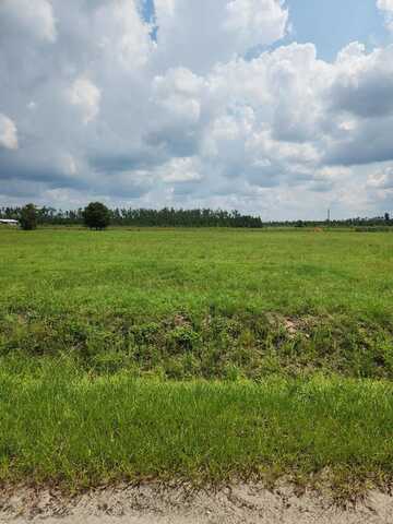 Lot 16 Harmony St, Wewahitchka, FL 32465