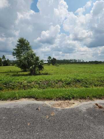 Lot 12 Harmony St, Wewahitchka, FL 32465