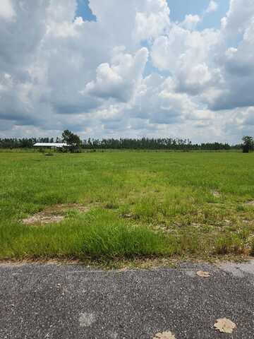 Lot 13 Harmony St, Wewahitchka, FL 32465