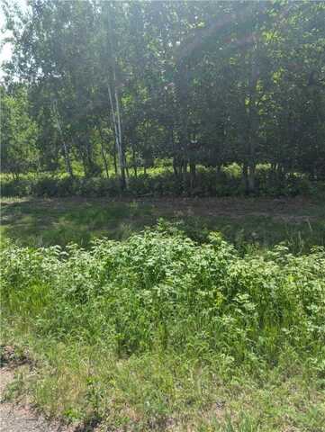 Lot 2 361st Street, Stanley, WI 54768