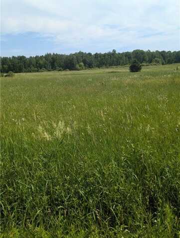 Lot 3 165th Avenue, Stanley, WI 54768