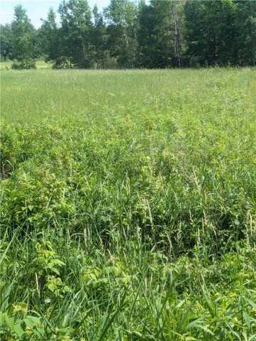 Lot 2 165th Avenue, Stanley, WI 54768