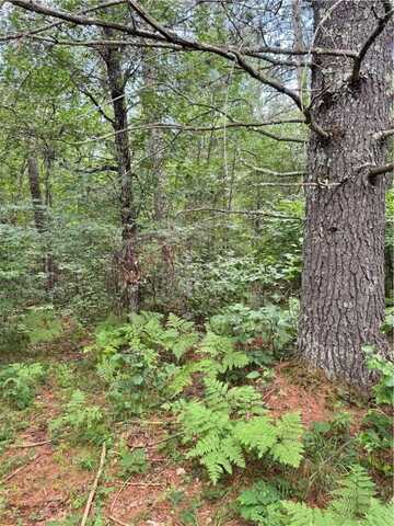 0 E Wilderness Court, Barnes, WI 54873