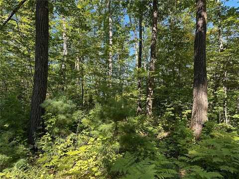 0 E Wilderness Court, Barnes, WI 54873