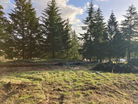 NE Center, Sheridan, OR 97378