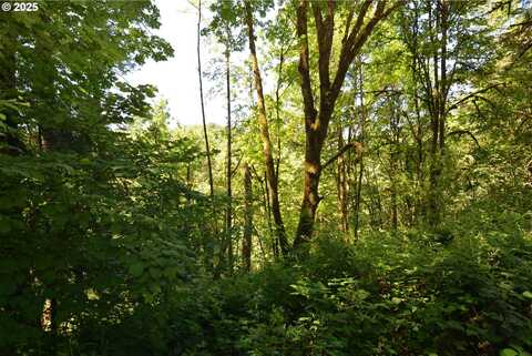 2429 Archwood DR, Longview, WA 98632