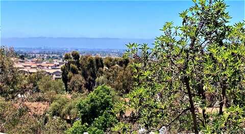 11335 Affinity Ct., San Diego, CA 92131