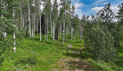 59395 CRIPPLE CREEK COURT, Clark, CO 80428