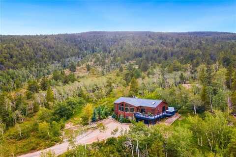 651 LAMB MOUNTAIN ROAD, Fairplay, CO 80440