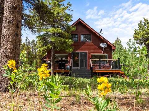815 BLUESTEM WAY, Fairplay, CO 80440
